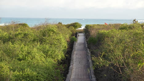 view of empty boardwalk path towards tortuga bay beach on santa cruz island in the galapagos