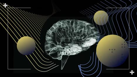 animation of human brain and globes in viewfinders over wave pattern against abstract background