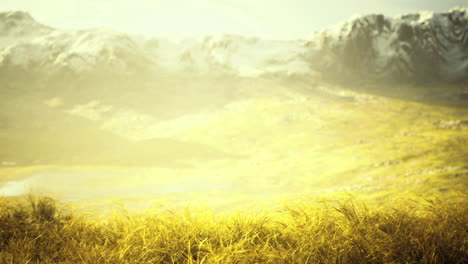 majestic mountain landscape showcasing lush grass and snowy peaks at sunrise