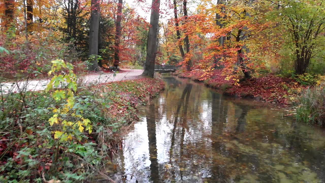 오후와 저녁에 4k 24fps로 무인 항공기가 있는 영국 정원의 뮌헨 가을 나무