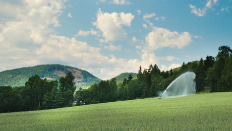 Eine-Malerische-Ländliche-Landschaft-Ist-Ein-Grünes-Weizenfeld-Das-Bewässerungssystem-Arbeitet-Landwirtschaft-In-Norw