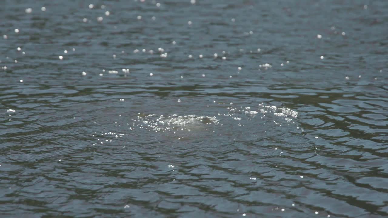 물 표면에 파동과 거품이 있습니다.