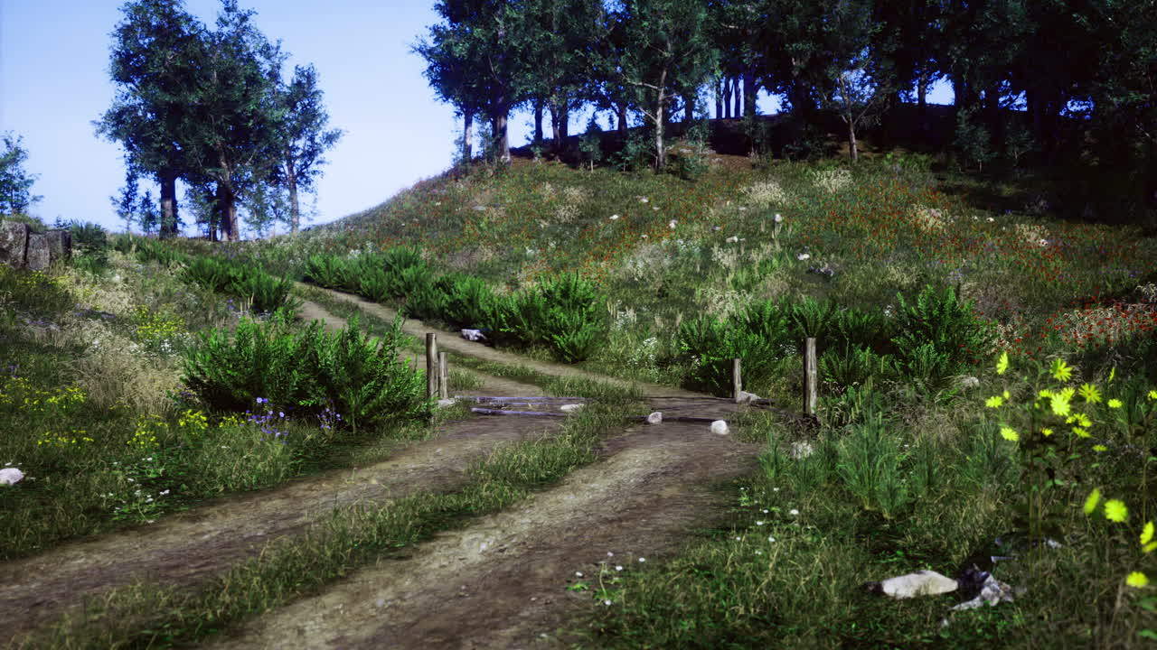 Scenic dirt path winding through lush greenery and vibrant wildflowers