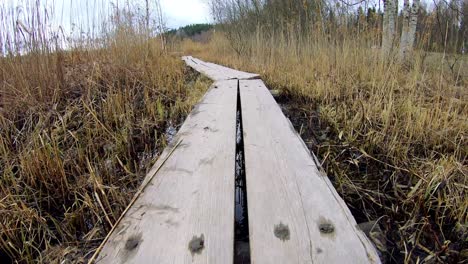 lapso de tiempo de tomar a través de un camino de madera en el parque nacional en escandinavia durante la primavera