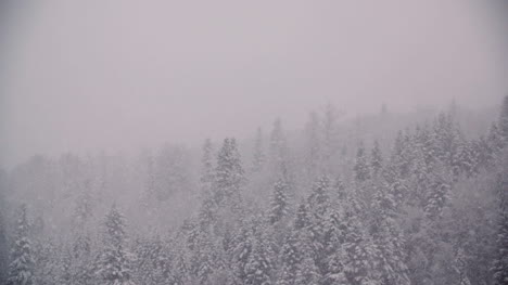 copos de nieve contra árboles cubiertos de nieve en las montañas