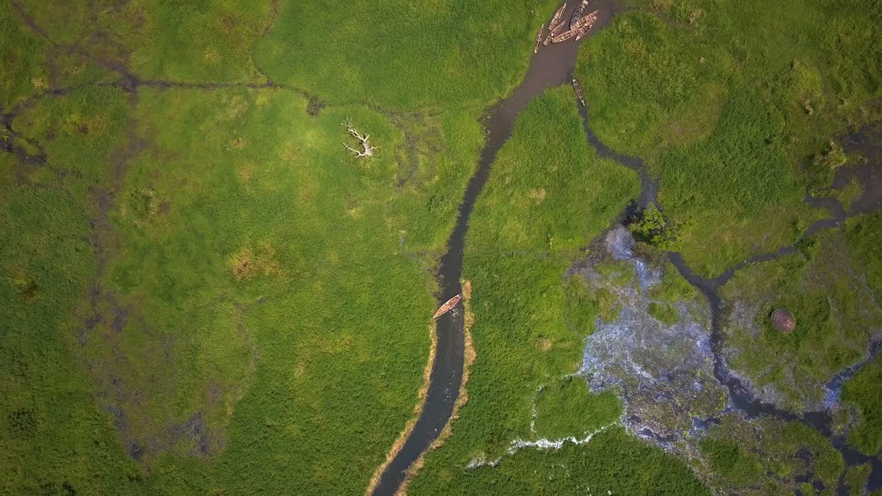 Ascending aerial top down shows fisherman casting in a narrow tributary of the River Nile surrounded by lush green wetlands in Uganda, highlighting traditional fishing and aquatic ecosystem