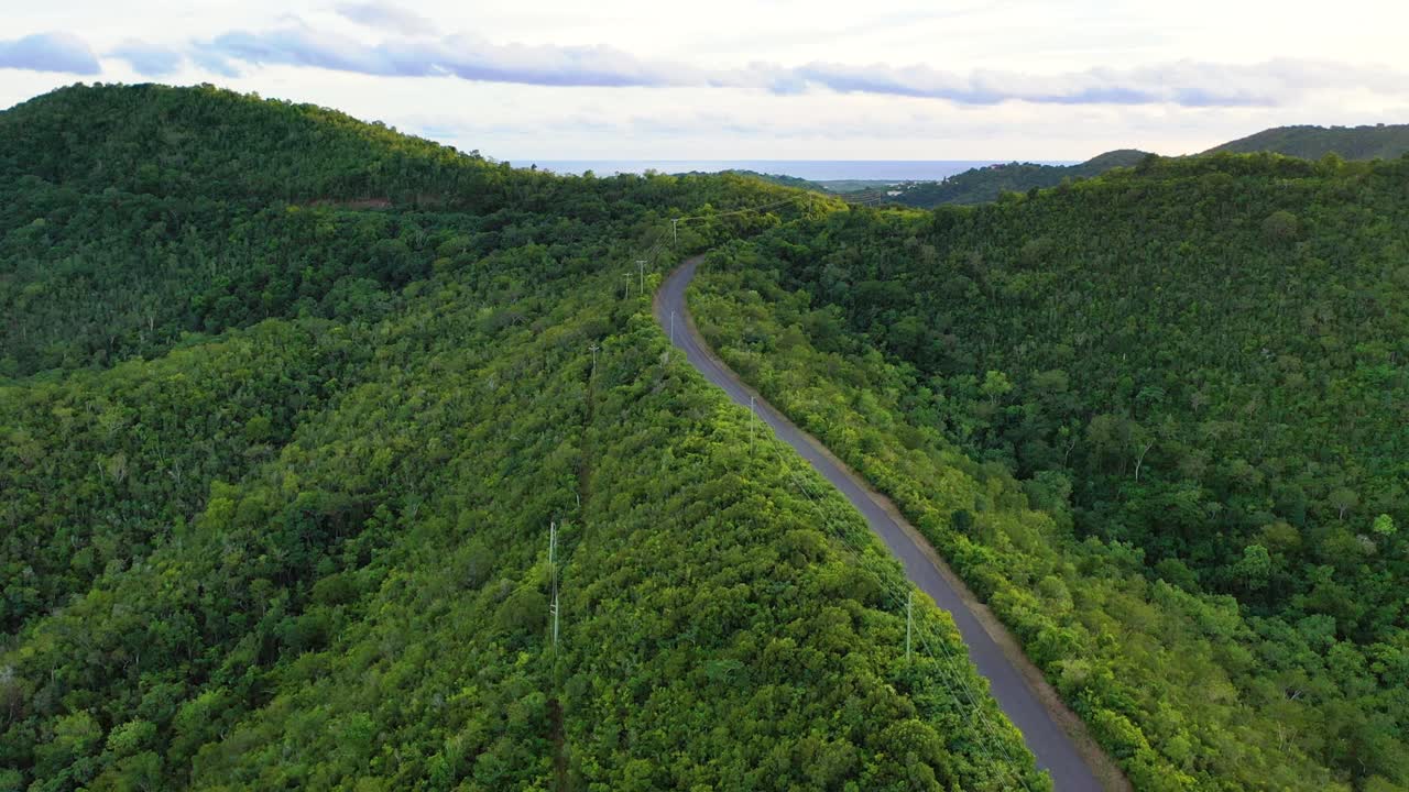 Aerial drone flyover of a winding dirt path through a vast woodland, shadows and sunlight dancing across the road in a peaceful natural rhythm
