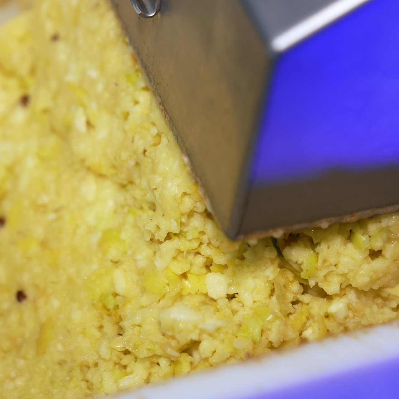 Yellow apple pulp comes out from the crusher. Freshly grinded apples ready to be squeezed. Close up
