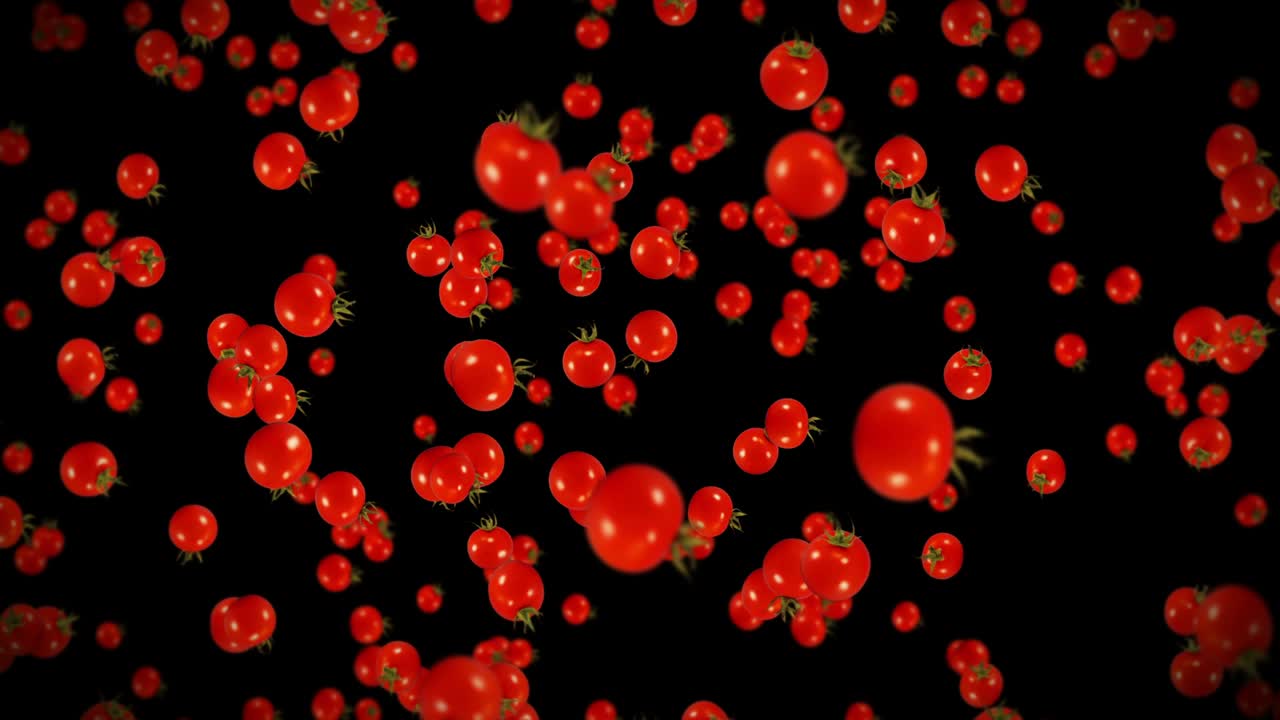 검은색 바탕에 많은 신선한 토마토를 날아. 유기 채소. 익은 맛있는 체리 토마토. 토마토 회전의 3d 루프 애니메이션.