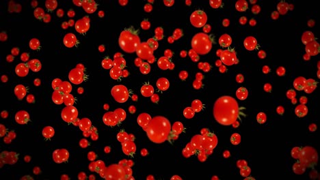 flying many fresh tomatoes on black background. organic vegetables. ripe juicy cherry tomatoes. 3d loop animation of tomato rotating.
