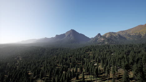 mountainous forest landscape