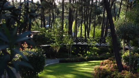 hermoso jardín con un puente en un bosque