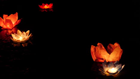 floating lotus lanterns at night