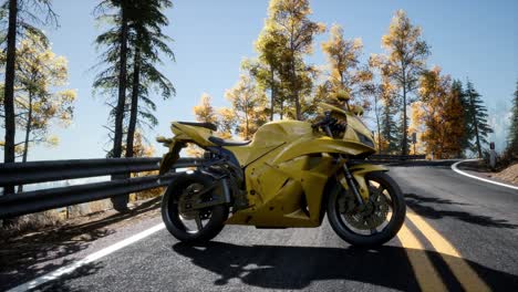 sportbike on tre road in forest with sun beams