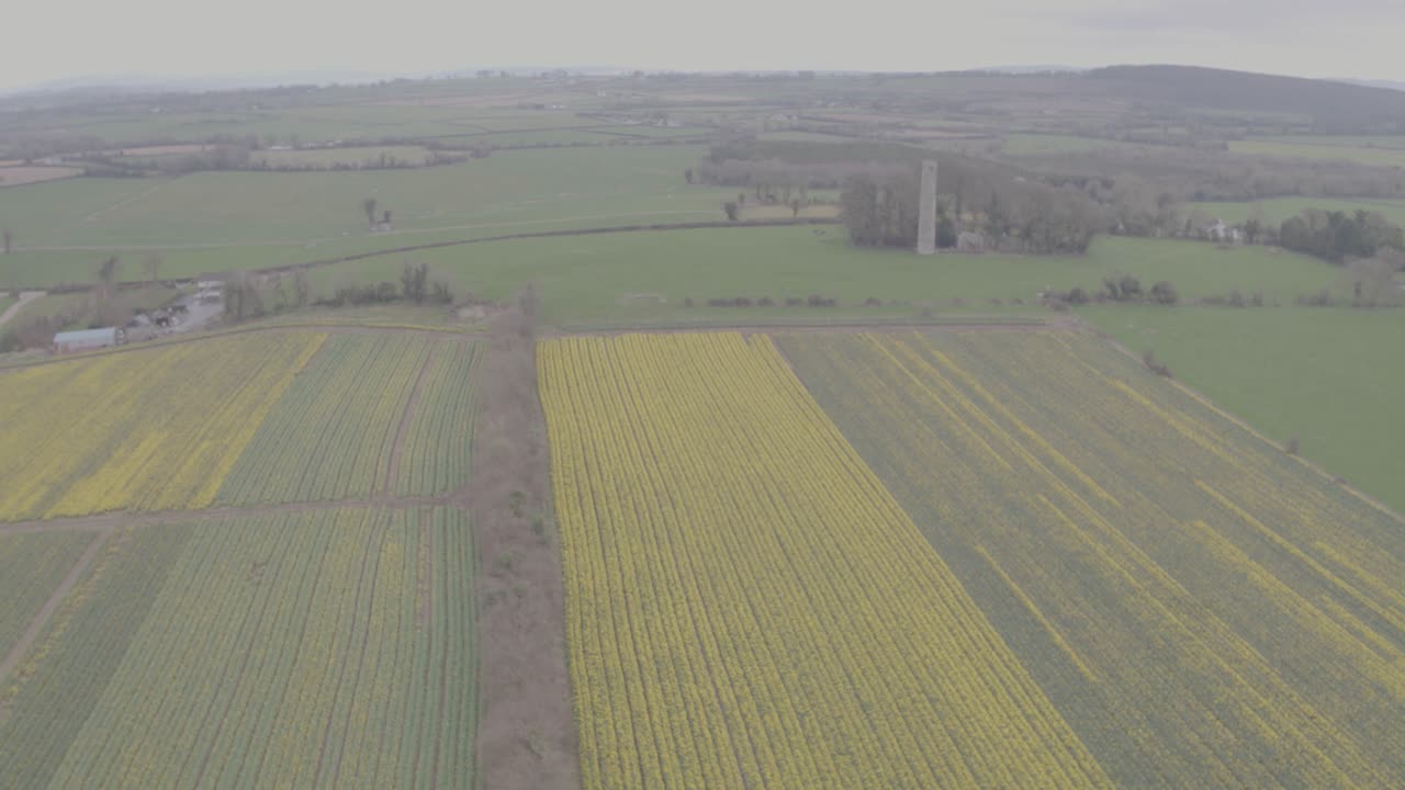 Flying out of a daffodil field, this drone shot moves out to reveal the full scope of the rich land that spread far and wide. This long shot allows to see the horizon of Irish country land