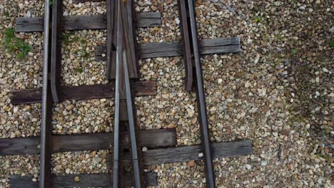 los caminos de grava se abren camino a través del follaje verde, creando una mezcla armoniosa de industria y naturaleza.