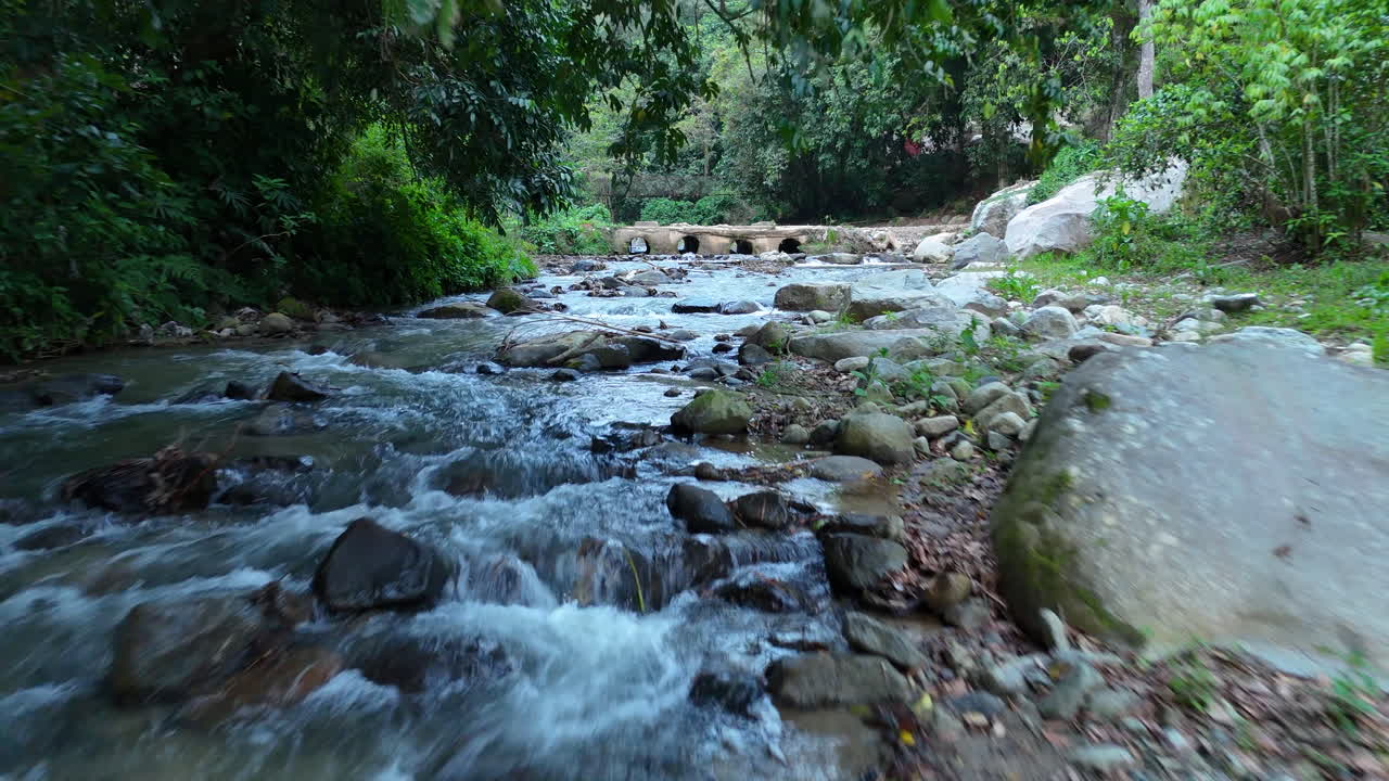 Ruscello che scorre tra le rocce nella foresta pluviale tropicale della Repubblica Dominicana