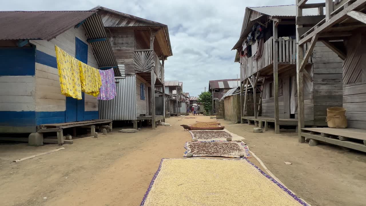The cloves are spread out on mats to dry on the street in Ambinanitelo. Madagascar