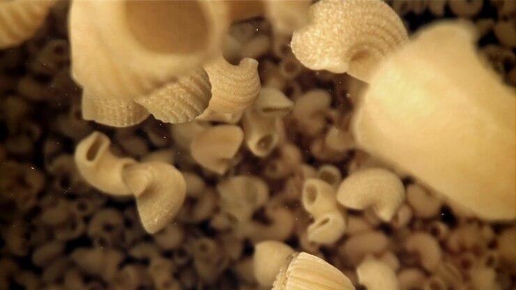 Pasta maccheroni cruda che cade al rallentatore