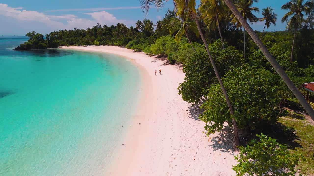 palm trees on a white sand beach in Banggai Islands, Sulawesi