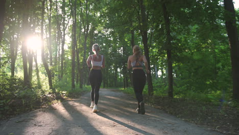 two pretty blonde sportswomen tying shoelaces and doing ponytail before running in the park