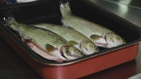 three fresh raw trout fish in baking pan on kitchen counter