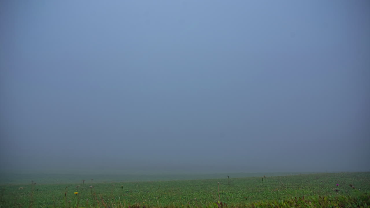 활기찬 초록색 을 가로질러 우아하게 미끄러지는 구름의 공중 춤은, 일부 오두막과 함께, 타임 스 관점에서 관찰 할 때 매혹적인 광경을 제공합니다.
