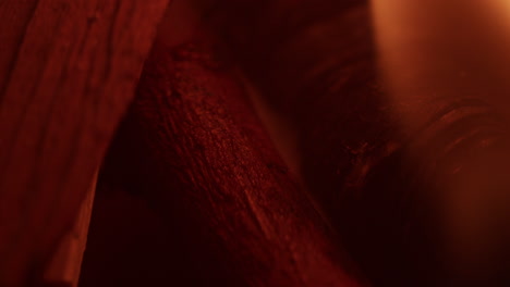 abstract shot of a branch starting to burn, red flame in the foreground