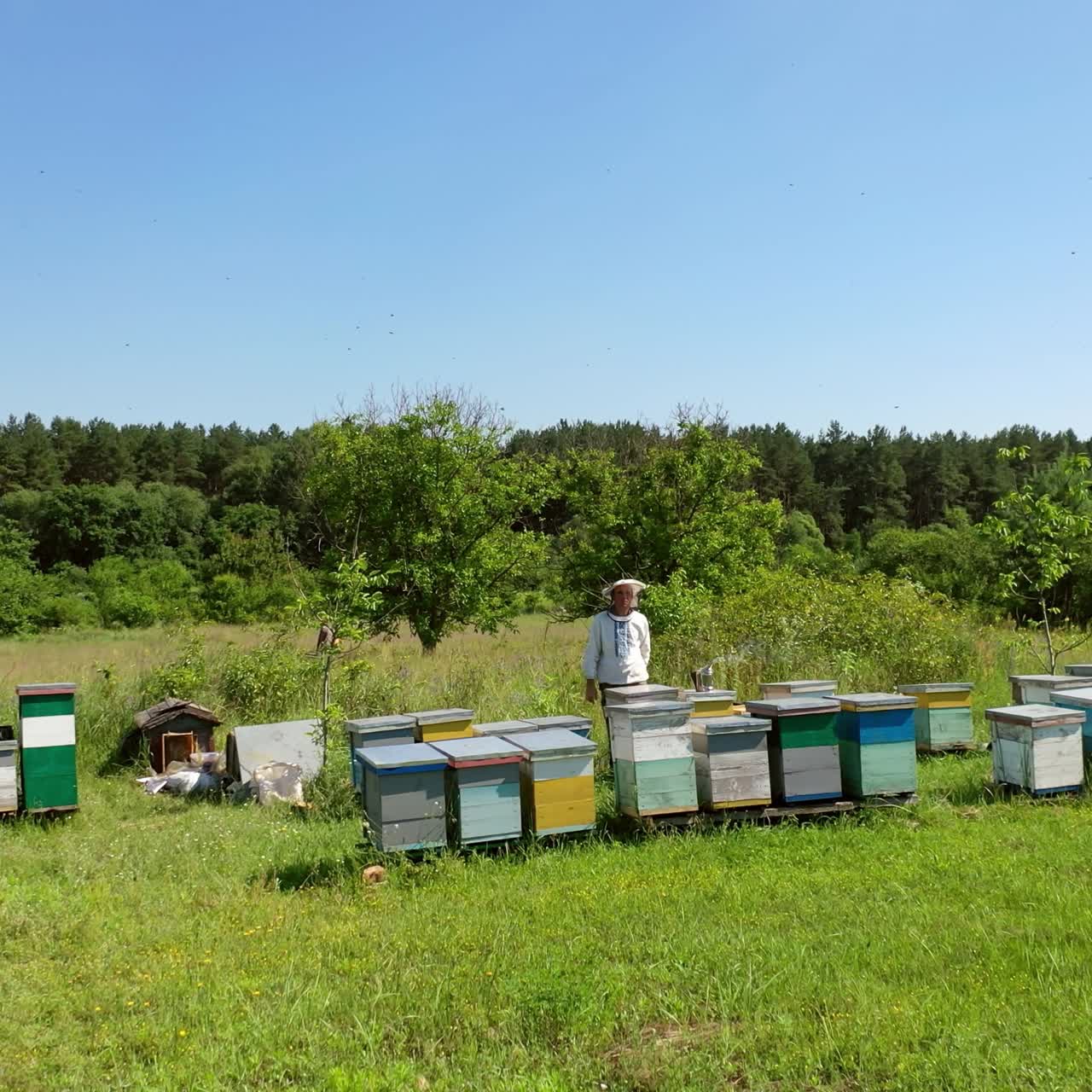 Wooden hives in green nature. Beekeeper in a protective hat works in an apiary. Experienced apiarist in a bee farm garden. Apiculture concept.