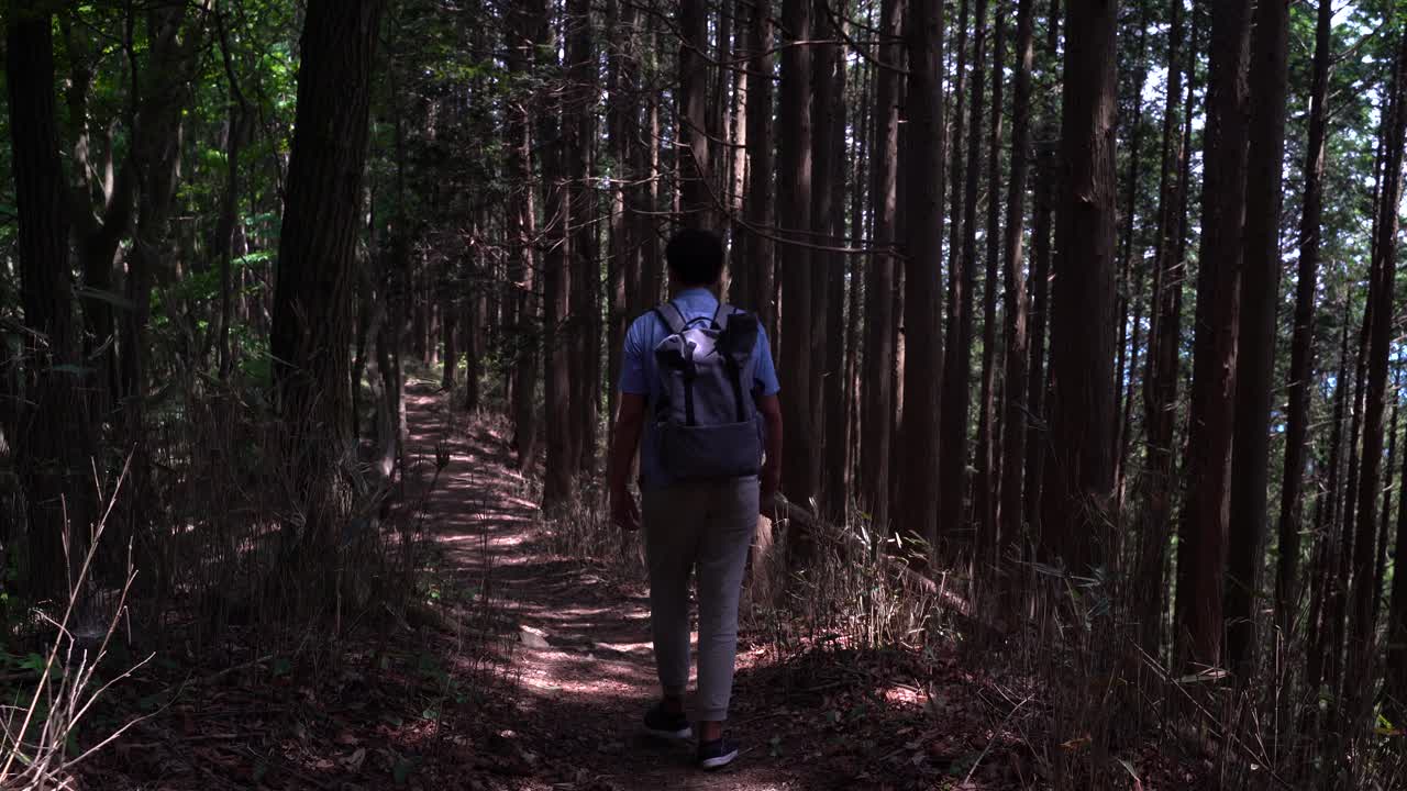 excursionista caminando por el sendero de montaña junto al bosque de pinos durante el verano