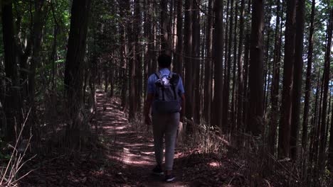 Hiker-Walking-On-The-Mountain-Trail-By-The-Pine-Tree-Forest-During-Summer