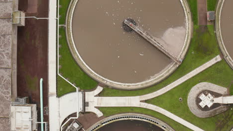 aerial shot traveling over a vast sewage processing plant while hundreds of seagulls fly around searching for scraps