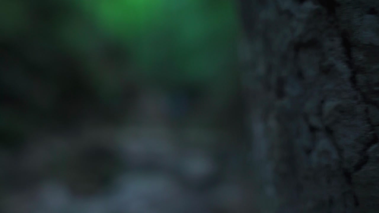 숲에서 나무 다리를 건너는 남자