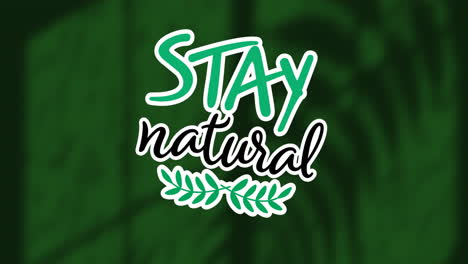 animation of stay natural text over shadow of plants on green background