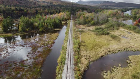 railway infrastructure near fall forest and riverside swamp aerial descending