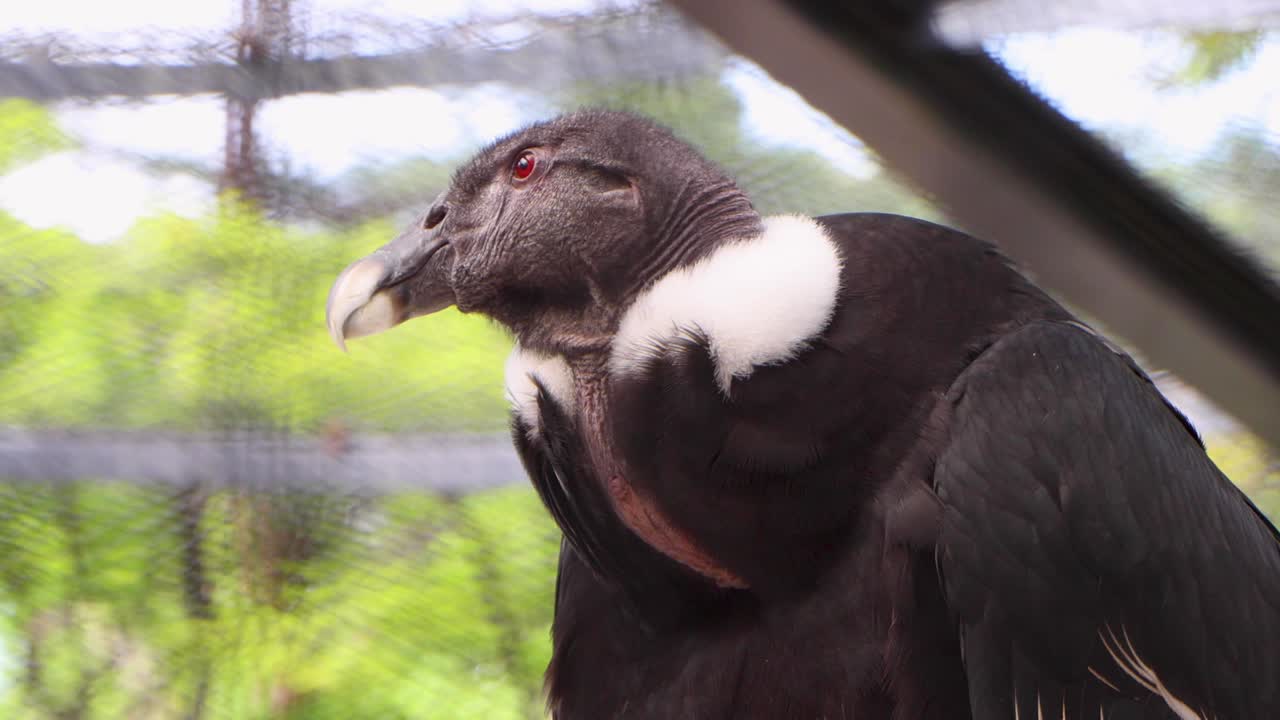 요코하마 최고의 전망
