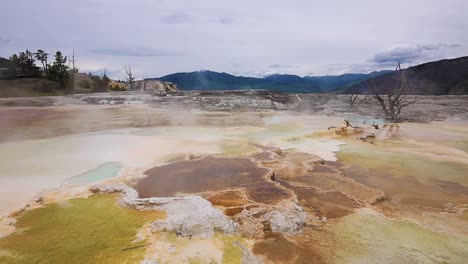 geothermal hot springs with steam cloud rising and mountains in the background at yellowstone national park, wyoming, usa