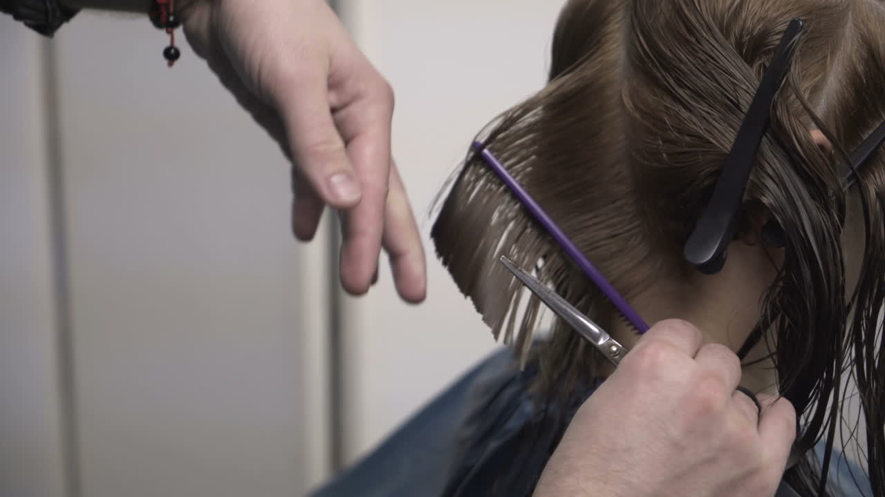 Young woman having her hair dyed by beautician at parlor