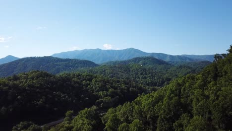 鳥類飛過美國田納西州大煙山上茂盛的綠色森林