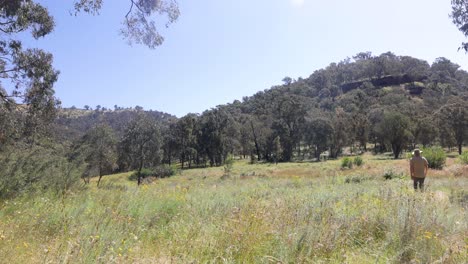 Un-Bosquimano-Con-Un-Sombrero-Akubra-Caminando-En-Campos-De-Hierba-Y-Montañas-En-El-Arbusto-Del-País-Alto-De-Australia