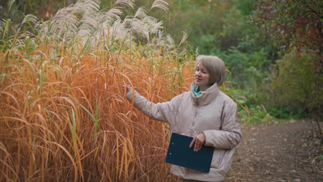 woman dressed in beige coat gently gliding hand over tall golden grass while holding clipboard, stopping along forest path to examine and take notes surrounded by colorful fall vegetation in nature