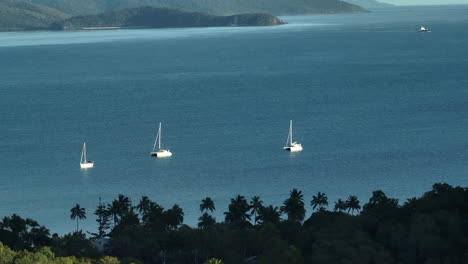 drone shot of private yachts anchored up in the a bay in the whitsunday islands, qld, australia