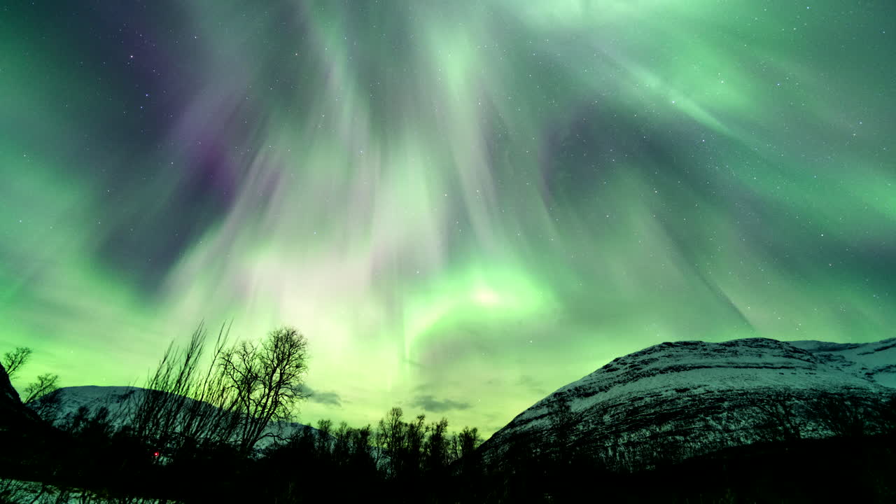 Il cielo della Norvegia settentrionale si riempie di fluttuanti motivi di aurora verde e viola sopra colline scure e alberi, con fasci pulsanti veloci