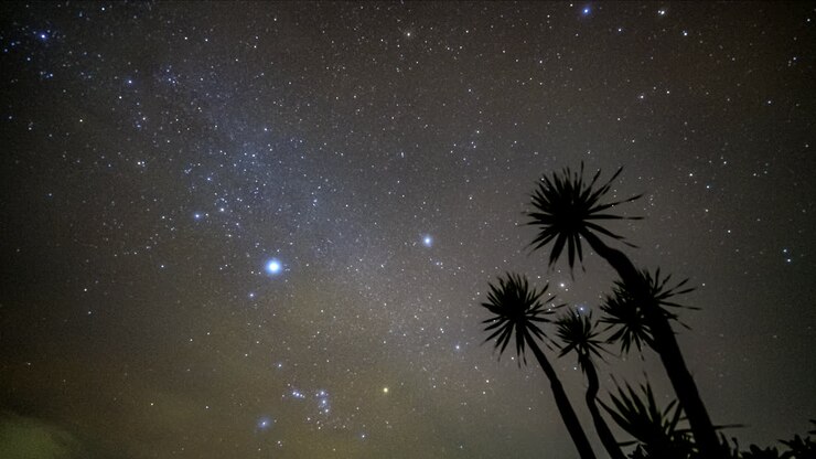 Night time lapse of stars in space with abstract tree foreground