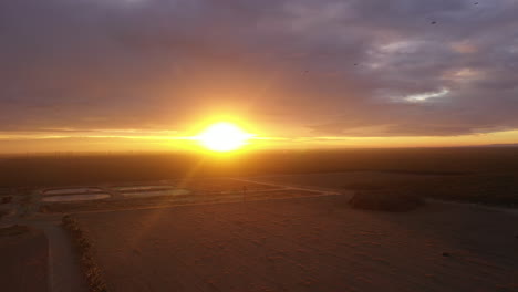 early morning sunrise peaceful drone flight over agriculture field and farmland in california