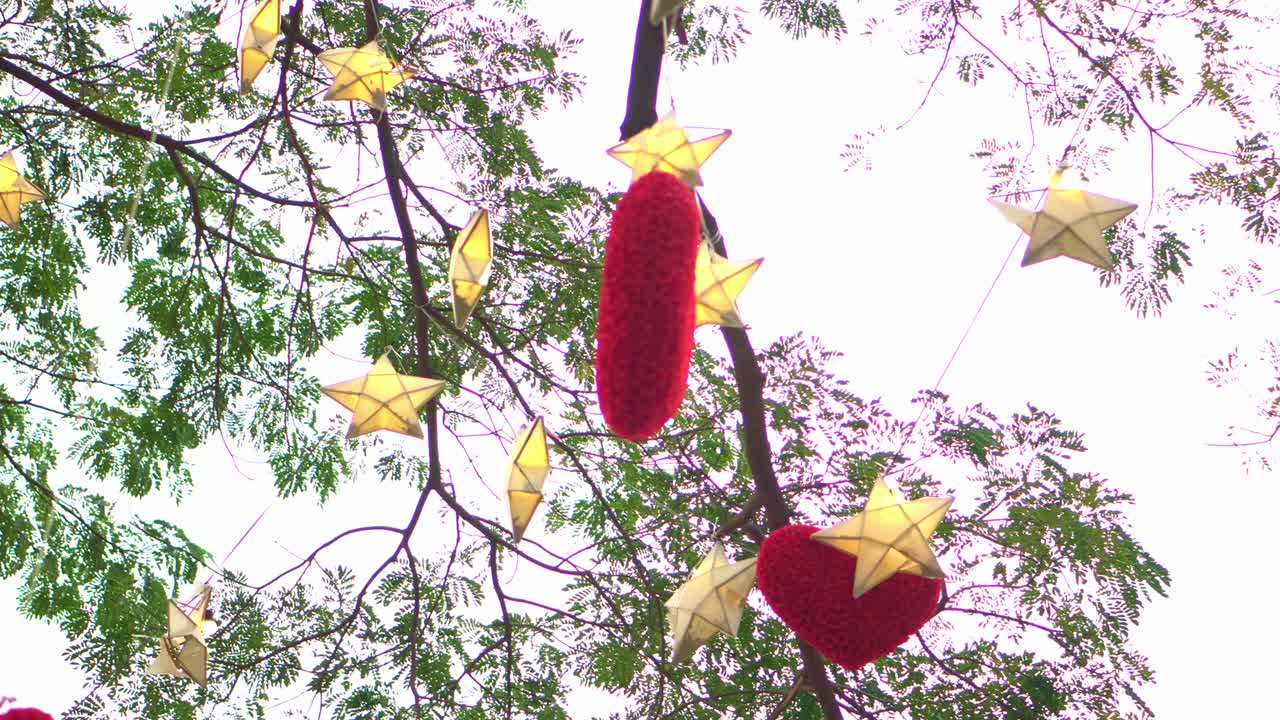 Red hearts hanging on a tree with many paper stars and lights twinkling at night. valentine's day concept