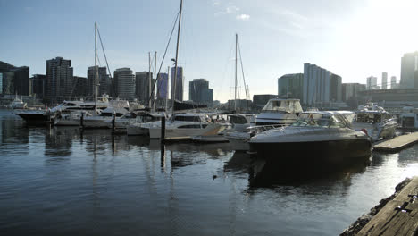 stunning reveal of docklands marina in melbourne