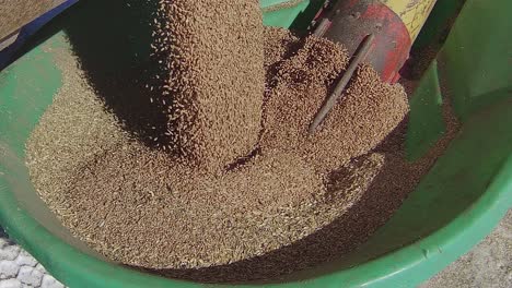 harvesting and planting seeds: agricultural machinery in action