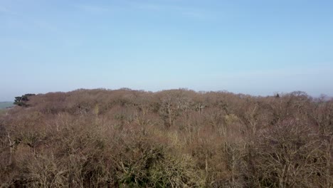 Enthüllen-Sie-Eine-Aufnahme-Hinter-Einer-Baumgrenze,-Die-Die-Britische-Landschaft-Und-Eine-Farm-Im-Hintergrund-Zeigt