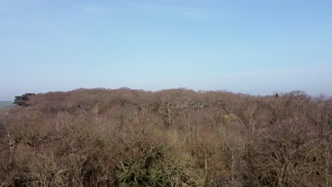 revelan una toma detrás de una línea de árboles que muestra la campiña británica y una granja en el fondo.